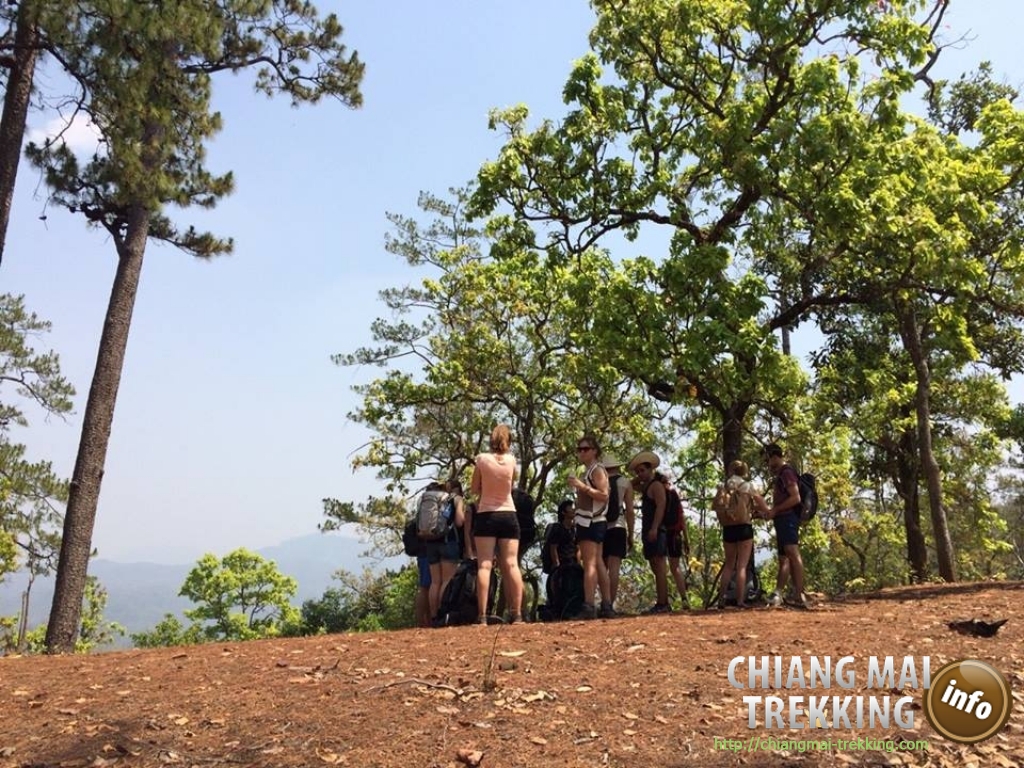 Wonderful 3-days/2-nights trekking | Chiang Mai Trekking | Das beste Trekking in Chiang Mai mit Piroon Nantaya